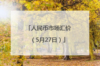 人民币市场汇价（5月27日）