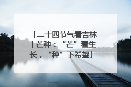 二十四节气看吉林丨芒种：“芒”着生长，“种”下希望