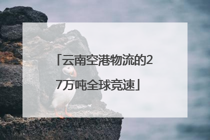 云南空港物流的27万吨全球竞速