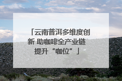 云南普洱多维度创新 助咖啡全产业链提升“咖位”