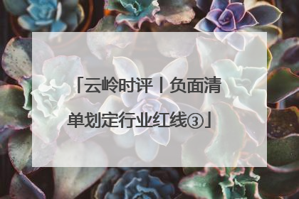 云岭时评丨负面清单划定行业红线③