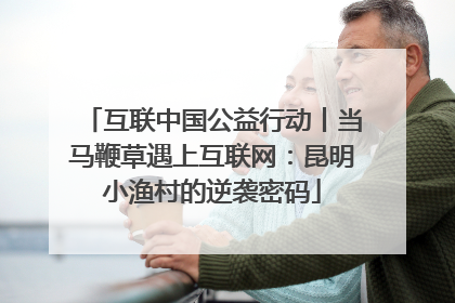 互联中国公益行动丨当马鞭草遇上互联网：昆明小渔村的逆袭密码