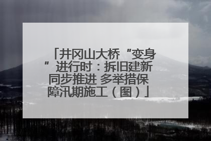井冈山大桥“变身”进行时：拆旧建新同步推进 多举措保障汛期施工（图）