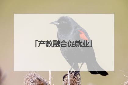 产教融合促就业