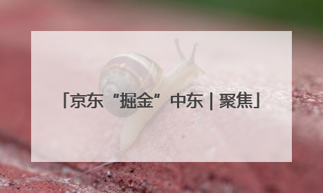 京东“掘金”中东｜聚焦