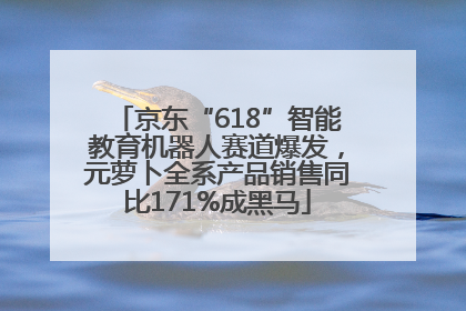 京东“618”智能教育机器人赛道爆发，元萝卜全系产品销售同比171%成黑马
