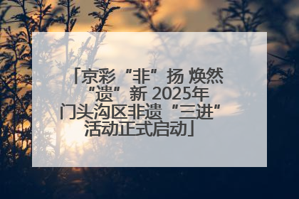 京彩“非”扬 焕然“遗”新 2025年门头沟区非遗“三进”活动正式启动