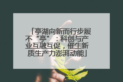 亭湖向新而行步履不“亭”：科创与产业互融互促，催生新质生产力澎湃动能