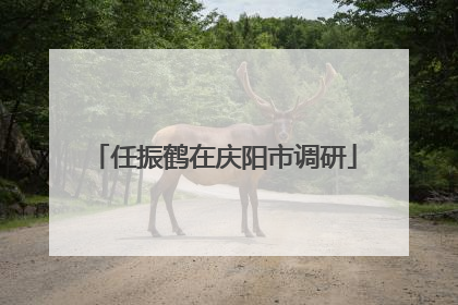 任振鹤在庆阳市调研