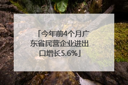 今年前4个月广东省民营企业进出口增长5.6%