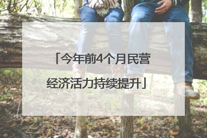 今年前4个月民营经济活力持续提升