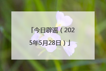 今日辟谣（2025年5月28日）