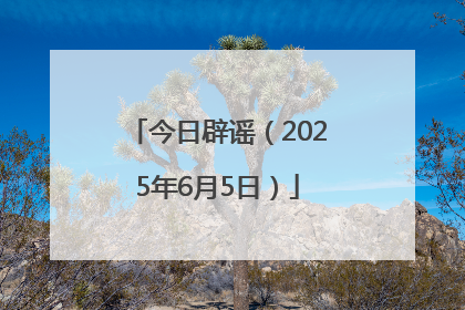 今日辟谣（2025年6月5日）