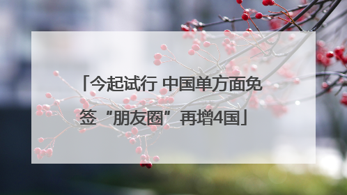 今起试行 中国单方面免签“朋友圈”再增4国