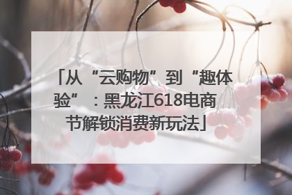 从“云购物”到“趣体验”：黑龙江618电商节解锁消费新玩法