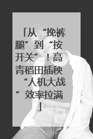 从“挽裤腿”到“按开关”！高青稻田插秧“人机大战”效率拉满