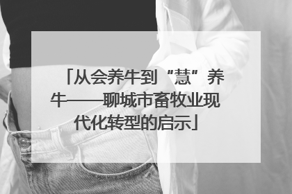从会养牛到“慧”养牛——聊城市畜牧业现代化转型的启示