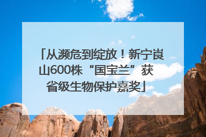 从濒危到绽放！新宁崀山600株“国宝兰”获省级生物保护嘉奖