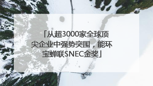 从超3000家全球顶尖企业中强势突围，能环宝蝉联SNEC金奖