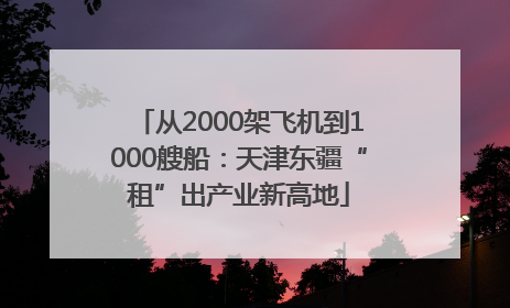 从2000架飞机到1000艘船：天津东疆“租”出产业新高地