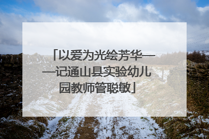 以爱为光绘芳华——记通山县实验幼儿园教师管聪敏
