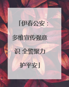 伊春公安：多维宣传强意识 全警聚力护平安