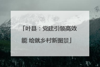 叶县：党建引领高效能 绘就乡村新图景