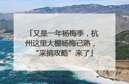 又是一年杨梅季，杭州这里大棚杨梅已熟，“采摘攻略”来了