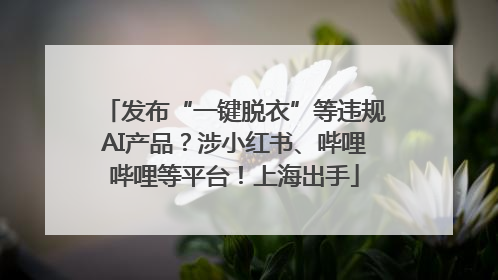 发布“一键脱衣”等违规AI产品？涉小红书、哔哩哔哩等平台！上海出手