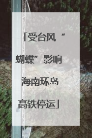 受台风“蝴蝶”影响 海南环岛高铁停运