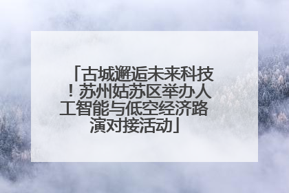 古城邂逅未来科技！苏州姑苏区举办人工智能与低空经济路演对接活动