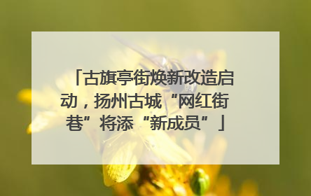 古旗亭街焕新改造启动，扬州古城“网红街巷”将添“新成员”