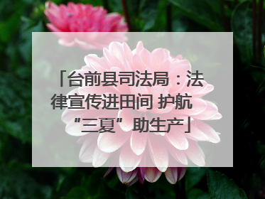 台前县司法局：法律宣传进田间 护航“三夏”助生产