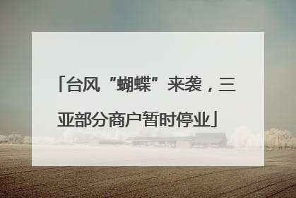 台风“蝴蝶”来袭，三亚部分商户暂时停业