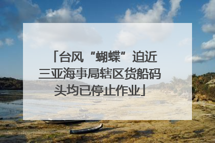 台风“蝴蝶”迫近 三亚海事局辖区货船码头均已停止作业