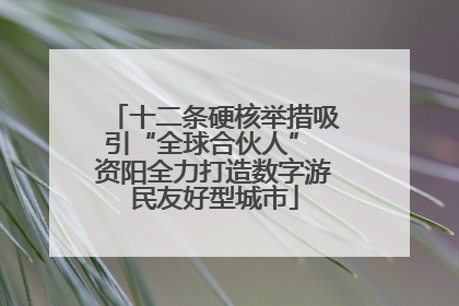 十二条硬核举措吸引“全球合伙人” 资阳全力打造数字游民友好型城市