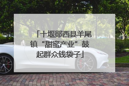 十堰郧西县羊尾镇“甜蜜产业”鼓起群众钱袋子