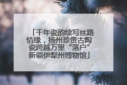 千年瓷韵续写丝路情缘，扬州珍贵古陶瓷跨越万里“落户”新疆伊犁州博物馆