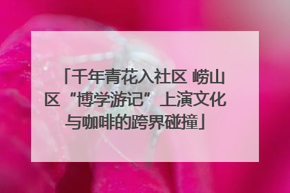 千年青花入社区 崂山区“博学游记”上演文化与咖啡的跨界碰撞