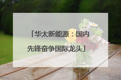 华太新能源：国内先锋奋争国际龙头