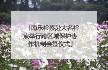 南乐检察赴大名检察举行跨区域保护协作机制会签仪式