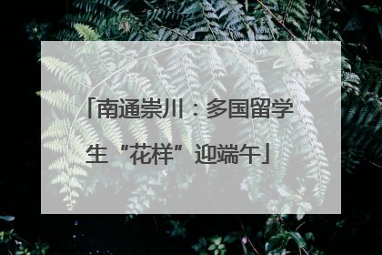 南通崇川：多国留学生“花样”迎端午