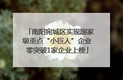 南阳宛城区实现国家级重点“小巨人”企业零突破1家企业上榜