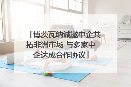 博茨瓦纳诚邀中企共拓非洲市场 与多家中企达成合作协议