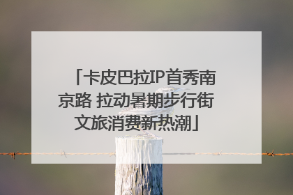 卡皮巴拉IP首秀南京路 拉动暑期步行街文旅消费新热潮