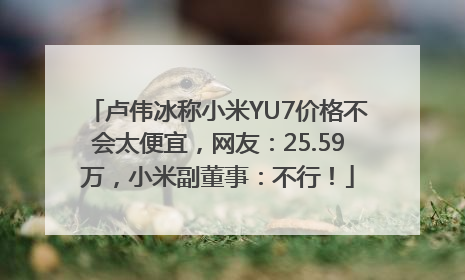 卢伟冰称小米YU7价格不会太便宜，网友：25.59万，小米副董事：不行！