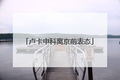 卢卡申科离京前表态