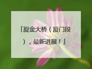 厦金大桥（厦门段），最新进展！