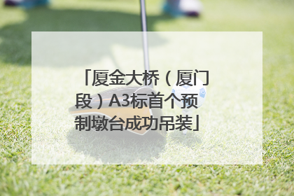 厦金大桥（厦门段）A3标首个预制墩台成功吊装