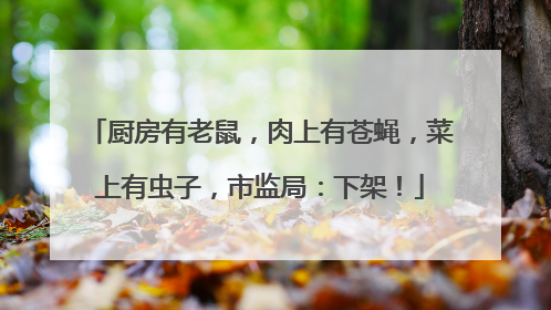厨房有老鼠，肉上有苍蝇，菜上有虫子，市监局：下架！
